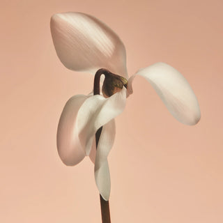 PHLUR Missing Person Hand Cream 60g