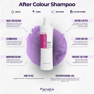 FANOLA After Colour Shampoo