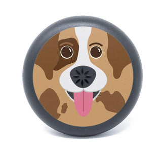 INVISALIGN Aligner & Retainer Case