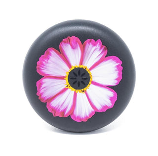 INVISALIGN Aligner & Retainer Case