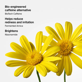 HAUS LABS BY LADY GAGA Triclone Skin Tech Concealer 7ml