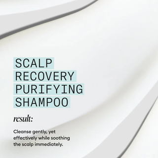 NIOXIN Scalp Recovery Purifying Shampoo for Anti-Dandruff