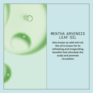 NIOXIN Scalp Recovery Scalp Soothing Serum for Anti-Dandruff 100ml