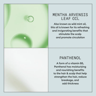 NIOXIN Volumizing + Thickening Mousse 192g