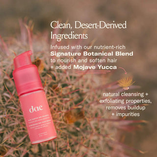 DAE Fairy Duster Volumizing Dry Shampoo Powder