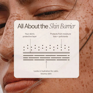 ILIA Barrier Build Skin Protectant Cream