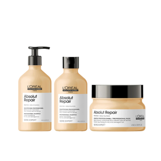 L'OREAL Professionnel Paris Absolut Repair Shampoo and Mask