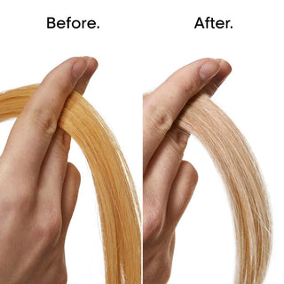 L'OREAL Professionnel Paris Silver Shampoo and Conditioner