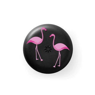 INVISALIGN Aligner & Retainer Case