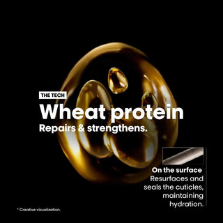 L'OREAL Professionnel Paris Absolut Repair Shampoo and Mask